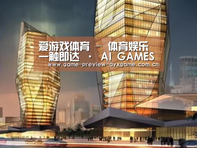 案例展示三